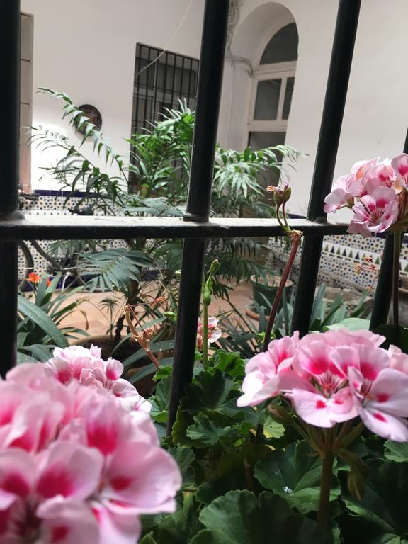 Apartamento Cruz Vieja Jerez de la Frontera Ruang foto
